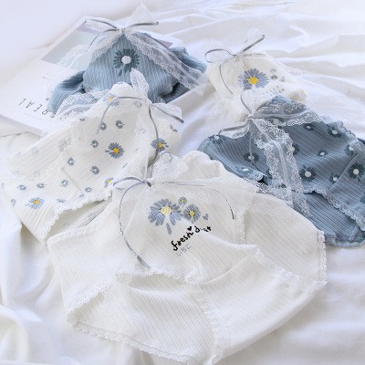 Quần lót nữ, quần lót cotton hoa cúc dễ thương siêu hot QC097