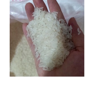 [Túi 10kg] gạo tám thái ngon[NowSHiP]