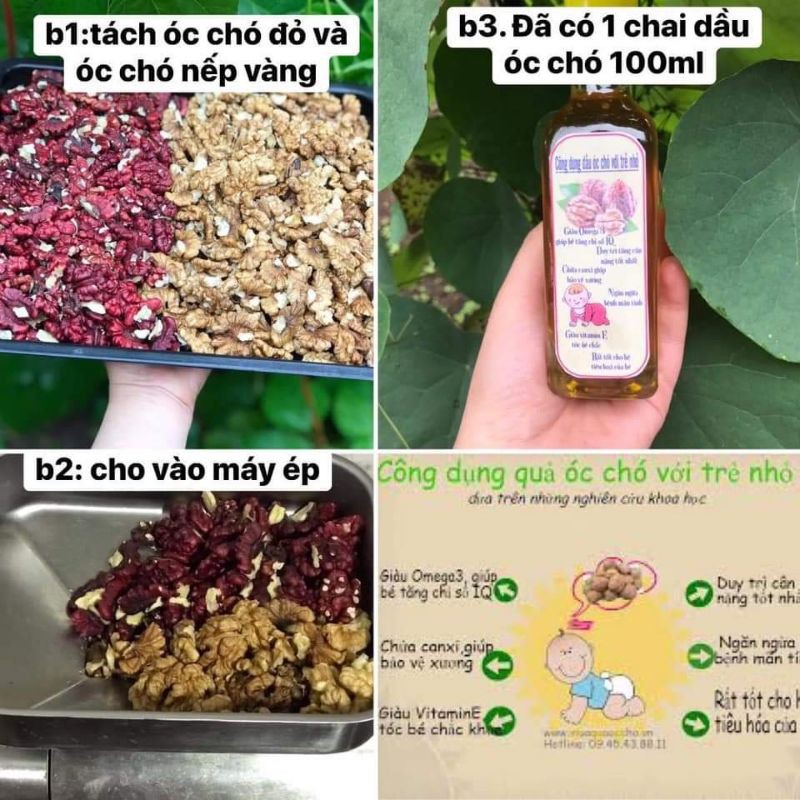 Dầu óc chó nếp và óc chó đỏ handmade