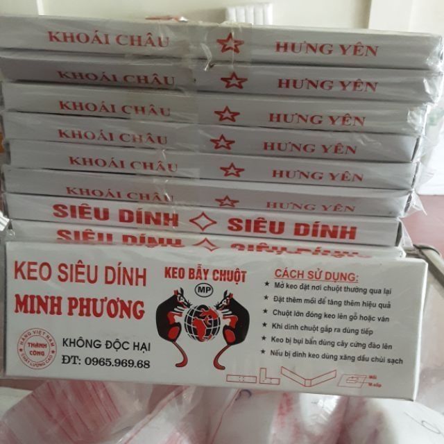 Combo 12 miếng keo dính chuột siêu dính
