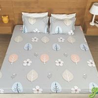 Combo ga chống thấm 1m8*2m*10cm