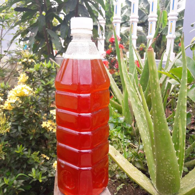 Mật ong hoa nhãn