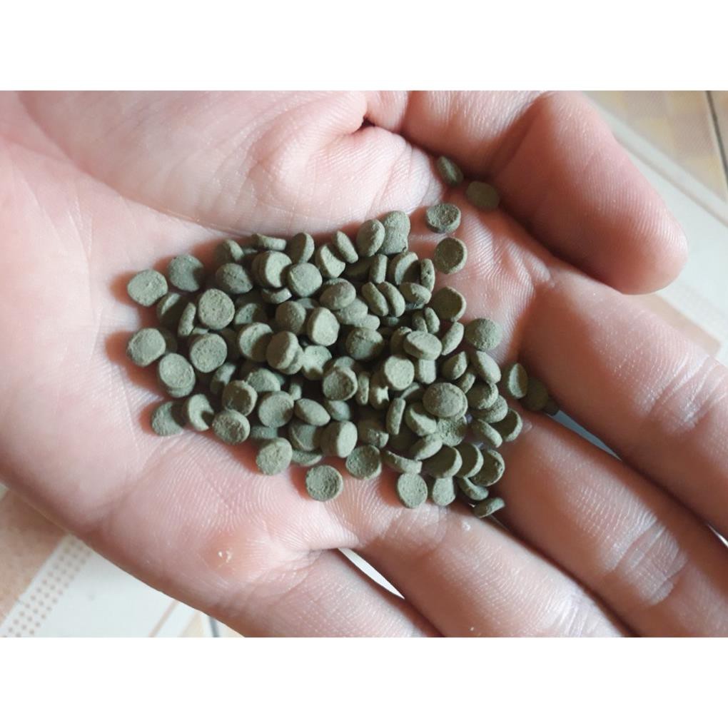 Thức ăn chuyên dụng cho cá chuột, pleco, longfin và các loại cá tầng đáy- cám Groundfish