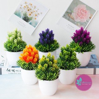 Cây giả-CÂY DỨA GIẢ may mắn tài lộc để bàn cao 20cm (bao gồm chậu) trang trí nhà, quán cafe, decor giá sách, bàn học