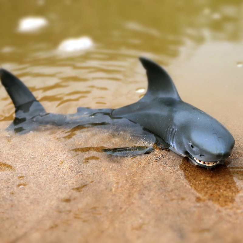 Đồ Chơi Mô Hình Cá Mập megalodon Dễ Thương Giáo Dục Sớm Cho Bé