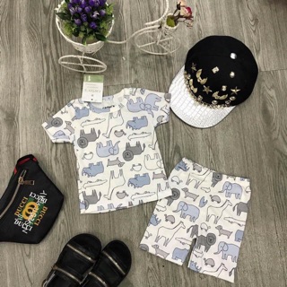 Combo 5 bộ bé trai - bé gái