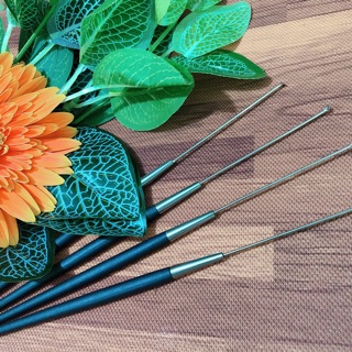 combo 2 Cây móc lỗ tai