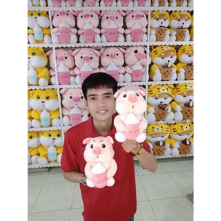 Heo Ôm Bình Sữa Gấu Bông Cần Thơ