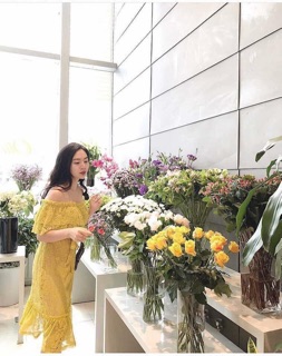 Váy hàng xuất like au
