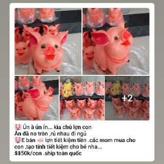 Heo đất siêu rẻ :Vàng Đỏ Trắng