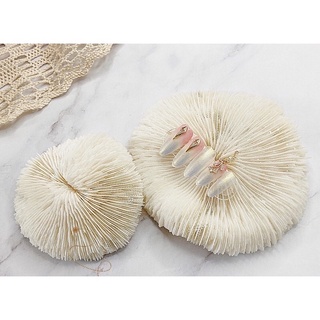 Nails phụ kiện chụp ảnh mẫu
