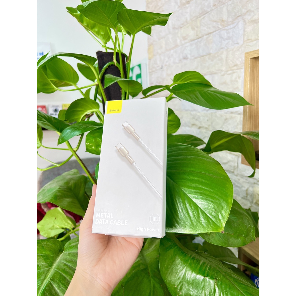 Cáp sạc siêu nhanh 100W Baseus Series Metal Data Cable Type-C to Type-C  Bảo hành 12 Tháng đổi mới- DLC Shop