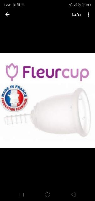 Cốc Nguyệt San fleurcup