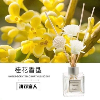 LỌ HOA KHÔ ĐỂ BÀN