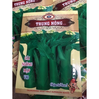 Hạt cải ngồng mập