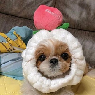 Băng đô Peach C quả đào Hàn Quốc