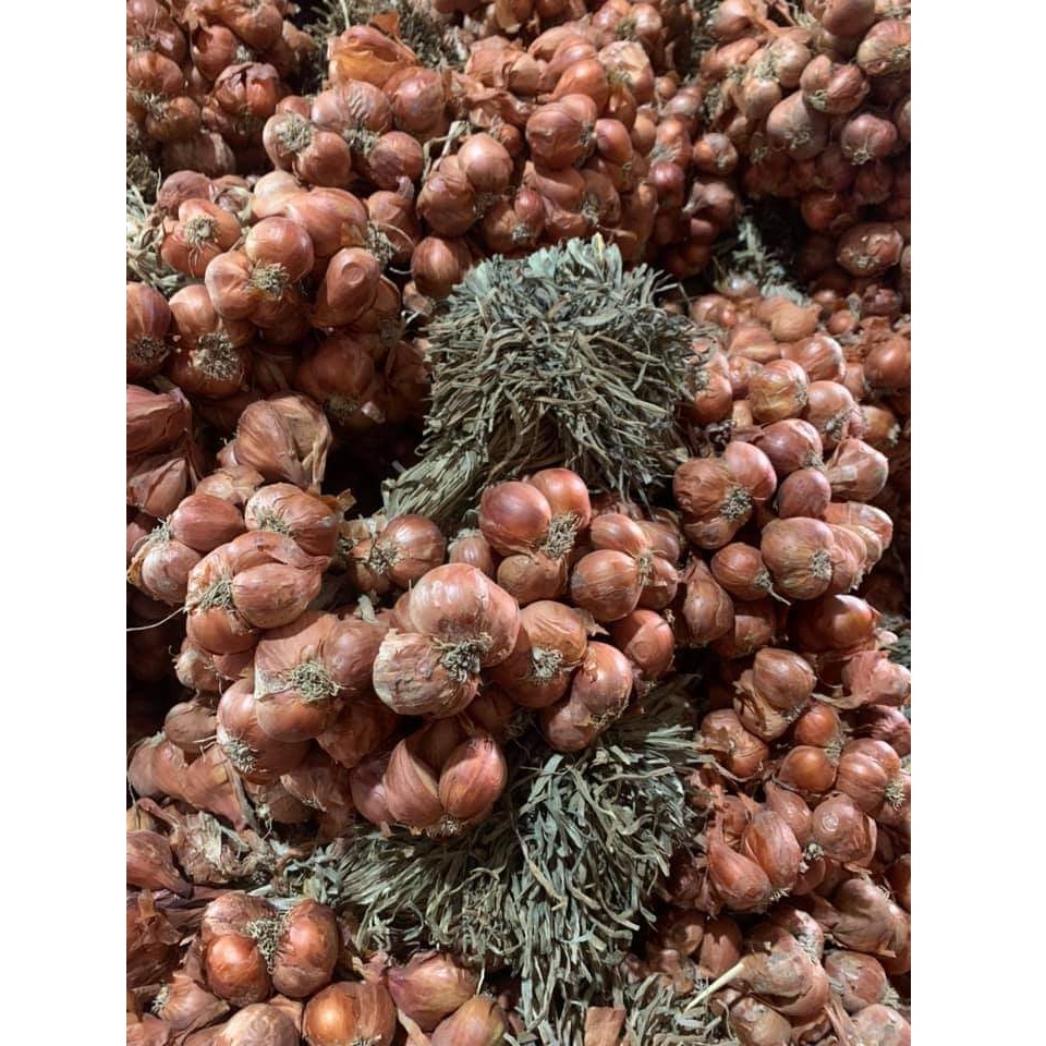 Hành ta khô 2kg, Hành bắc Hải Dương, loại 1 đã chọn lọc