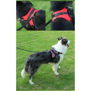 Dây Dắt Chó Husky Chuyên Dụng