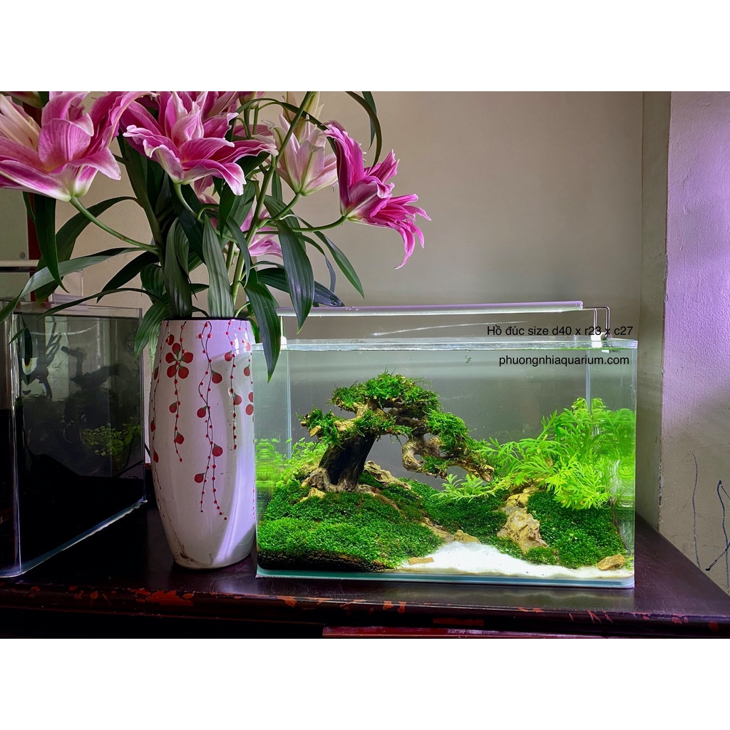 Hồ đúc 40x23x25  cm giao tại HCM