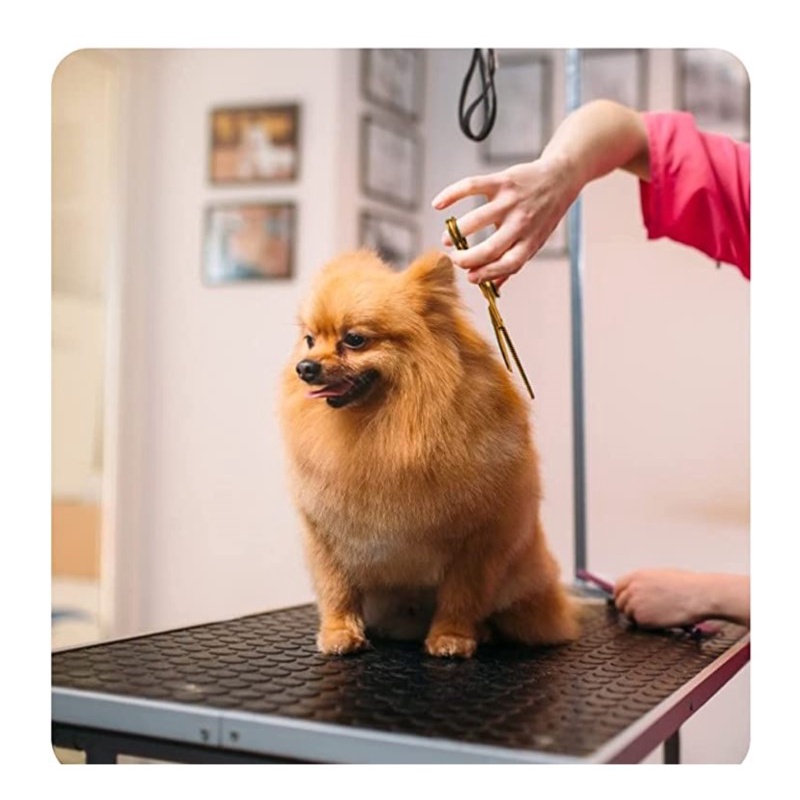 Bộ kéo cắt tóc cho thú cưng bằng vàng 6,7 ", Kéo cong dùng để cắt và chải lông cho thú cưng