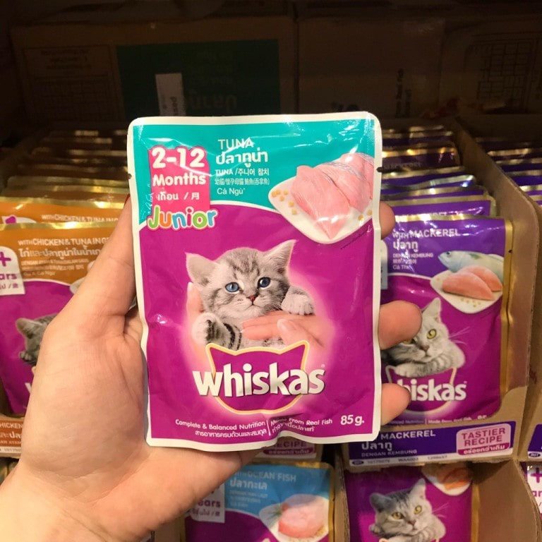 Pate cho mèo con Whiskas Junior 85g