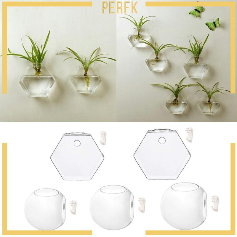 Chậu Kính Trồng Cây Treo Tường Kích Thước 4 ''