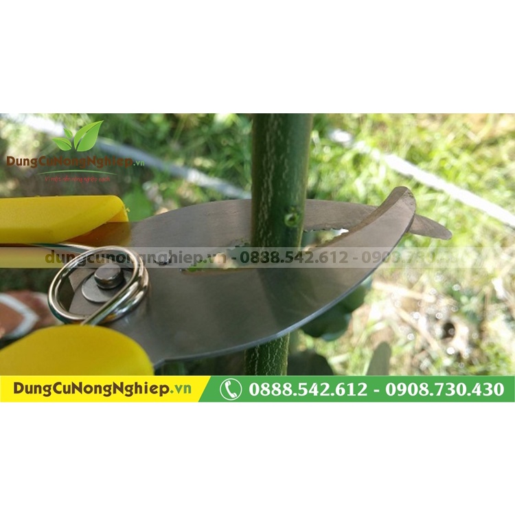 Dao chiết cây, khoanh vỏ lưỡi răng cưa
