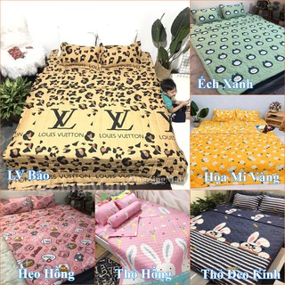 Chăn hè đẹp trần bông cotton poly sét 5 món (Được lựa mẫu)