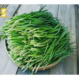 hạt giống rau hẹ gói 5gr