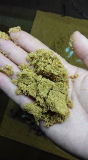 [1Kg]Cát Vàng Nắng Cho bể Thuỷ Sinh