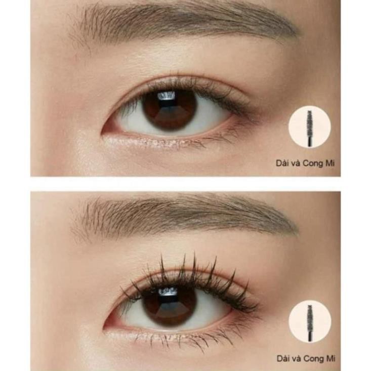 Mascara Ohui 2 đầu