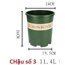 Chậu Monrovia Size 3 24x26,5cm - Chậu nhựa trồng cây chuyên dùng trồng Hoa Hồng và các loại hoa kiểng