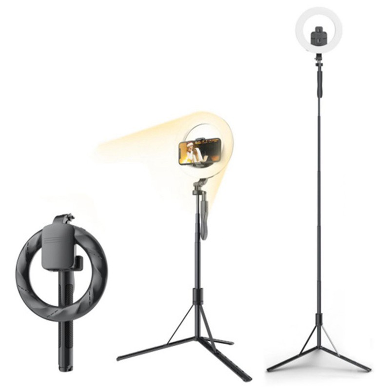 Gậy Chụp Ảnh Selfie Có Đèn Led 8 Inch 1.6m | BigBuy360 - bigbuy360.vn
