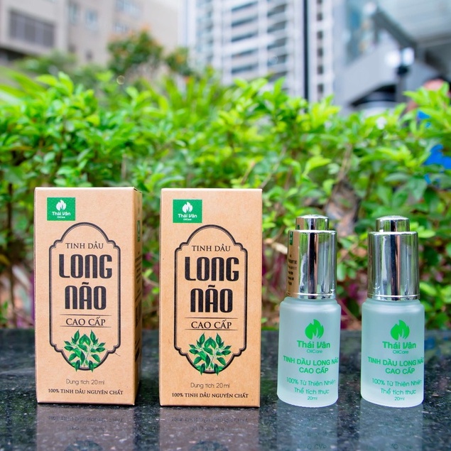 Tinh Dầu/Dầu Gió Long Não THÁI VÂN - Thơm Phòng, Đuổi Muỗi, Bảo Vệ Sức Khoẻ Gia Đình