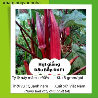 Hạt giống đậu bắp đỏ rado - gói 5 gram