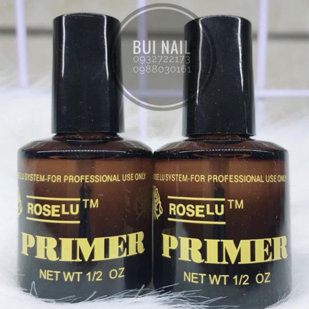 PRIMER LIÊN KẾT ĐẮP BỘT