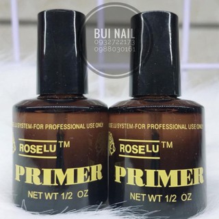 Primer liên kết đắp bột