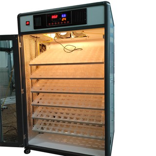 máy ấp 600 trứng full tự động hóa