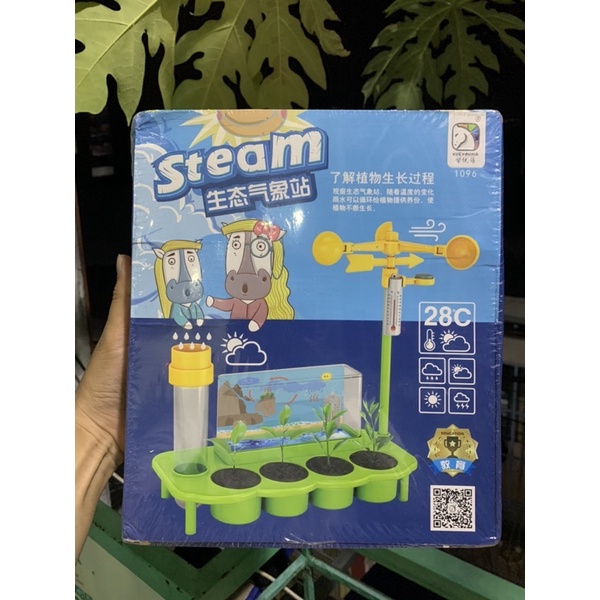 Bộ kit trồng cây trồng hoa khoa học thí nghiệm với trạm thời tiết mini