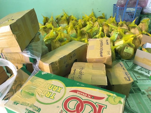 Dừa Sáp Hảo Hạng - Cơm Siêu Dày, Hàng tuyển