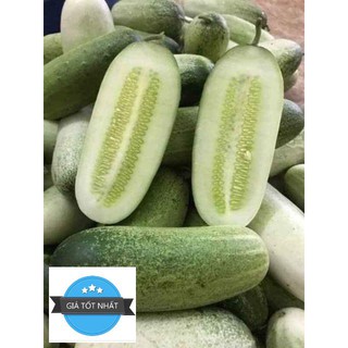 DƯA CHUỘT MÈO ( QUẢ TO ) 10 hạt