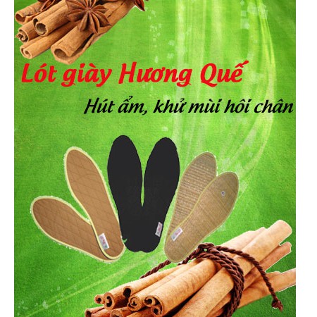 Lót giầy quế khử mùi kháng khuẩn - HÀNG VIỆT NAM CHẤT LƯỢNG CAO - FULL SIZE CHỌN THEO Ý