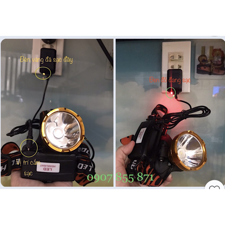 😍 Đèn pin LED, đèn đội đầu T017 chính hãng Mayor Wolf | BigBuy360 - bigbuy360.vn