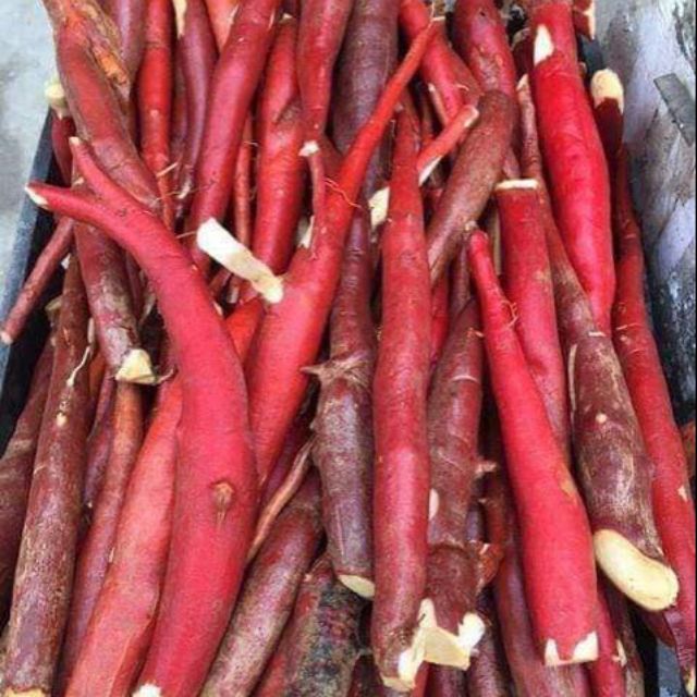 Sâm cau đỏ 1kg