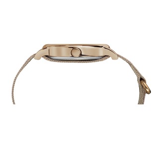 Đồng Hồ Nữ TimeX TW2R92400