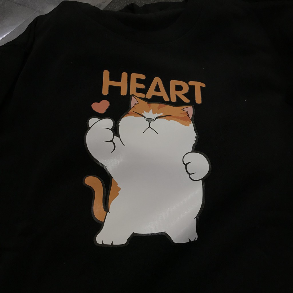 [Có VIDEO + ẢNH THẬT] Áo sweater - Áo nỉ bông tay dài UNISEX NE307 | BigBuy360 - bigbuy360.vn