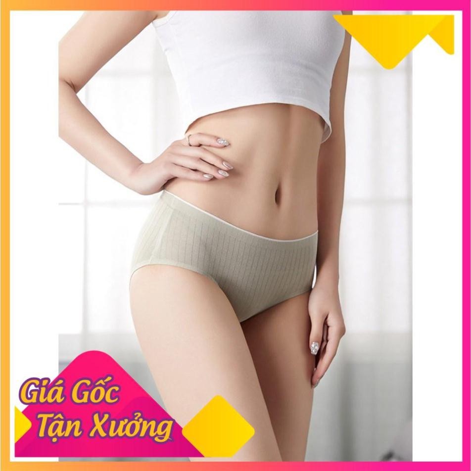 Quần Lót Cotton Gân Tăm Không Đường May Kháng Khuẩn CT-06