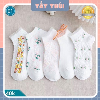 Set 5 Đôi tất nữ cổ thấp phong cách Hàn Quốc