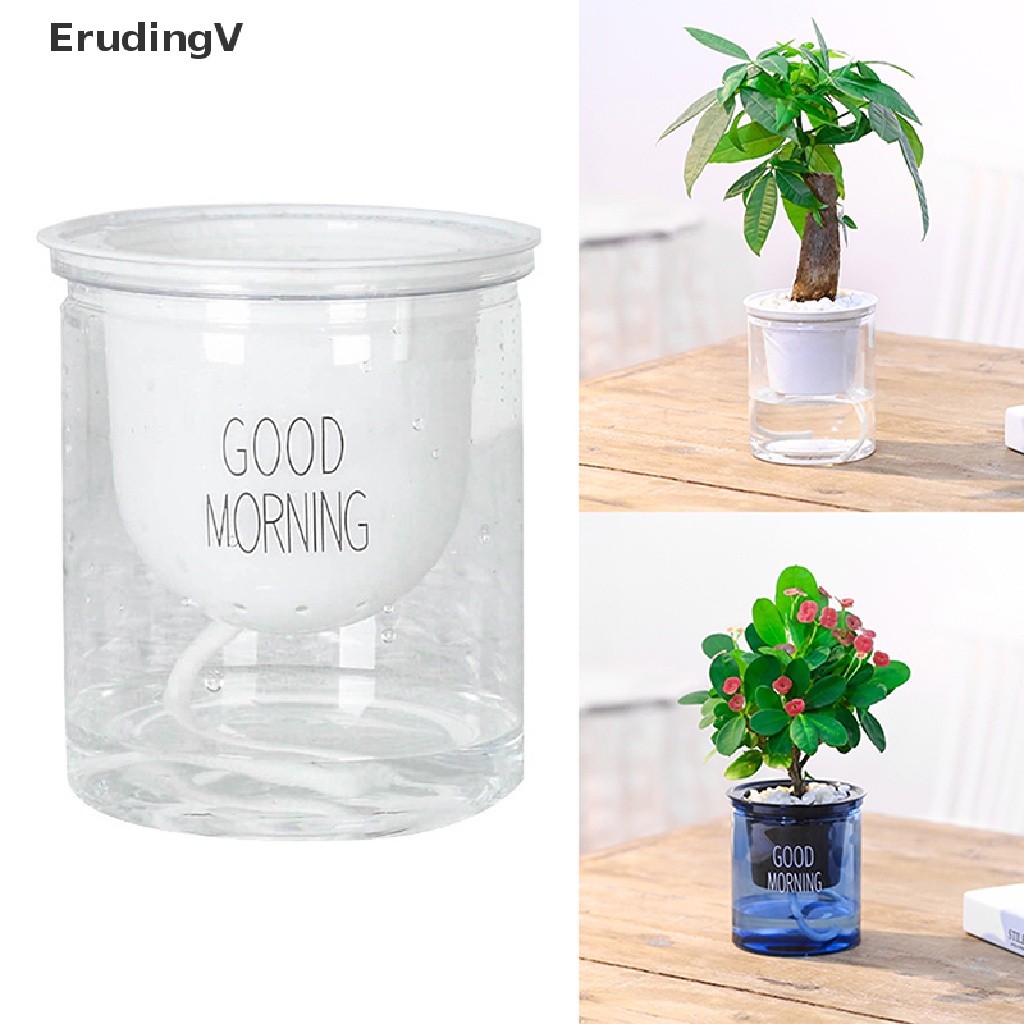 Chậu Trồng Cây Tự Tưới Nước Trong Suốt Dùng Trang Trí Nhà Cửa / Sân Vườn