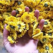 Trà hoa cúc sấy mộc tự nhiên 100gr